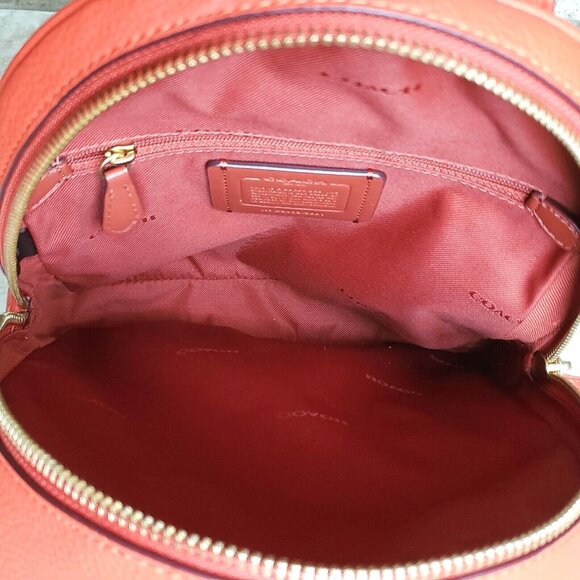 COACH CARRIE BACKPACK 23 W/SOUVENIR 7 PIN CUSTOMIZATION:NWT MANGO 1-OF-A-KIND - Picture 13 of 14